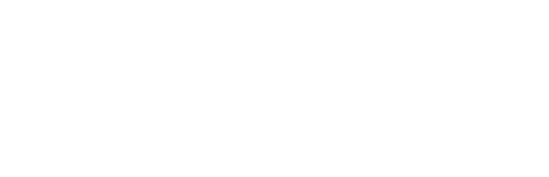 South Carolina Addiction Treatment Logo
